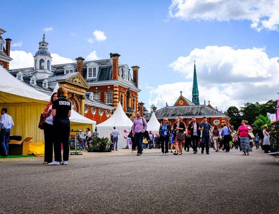 Support Opportunities — illustrative image for the following content