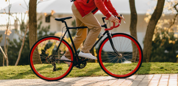 Cycle scheme — illustrative image for the following content