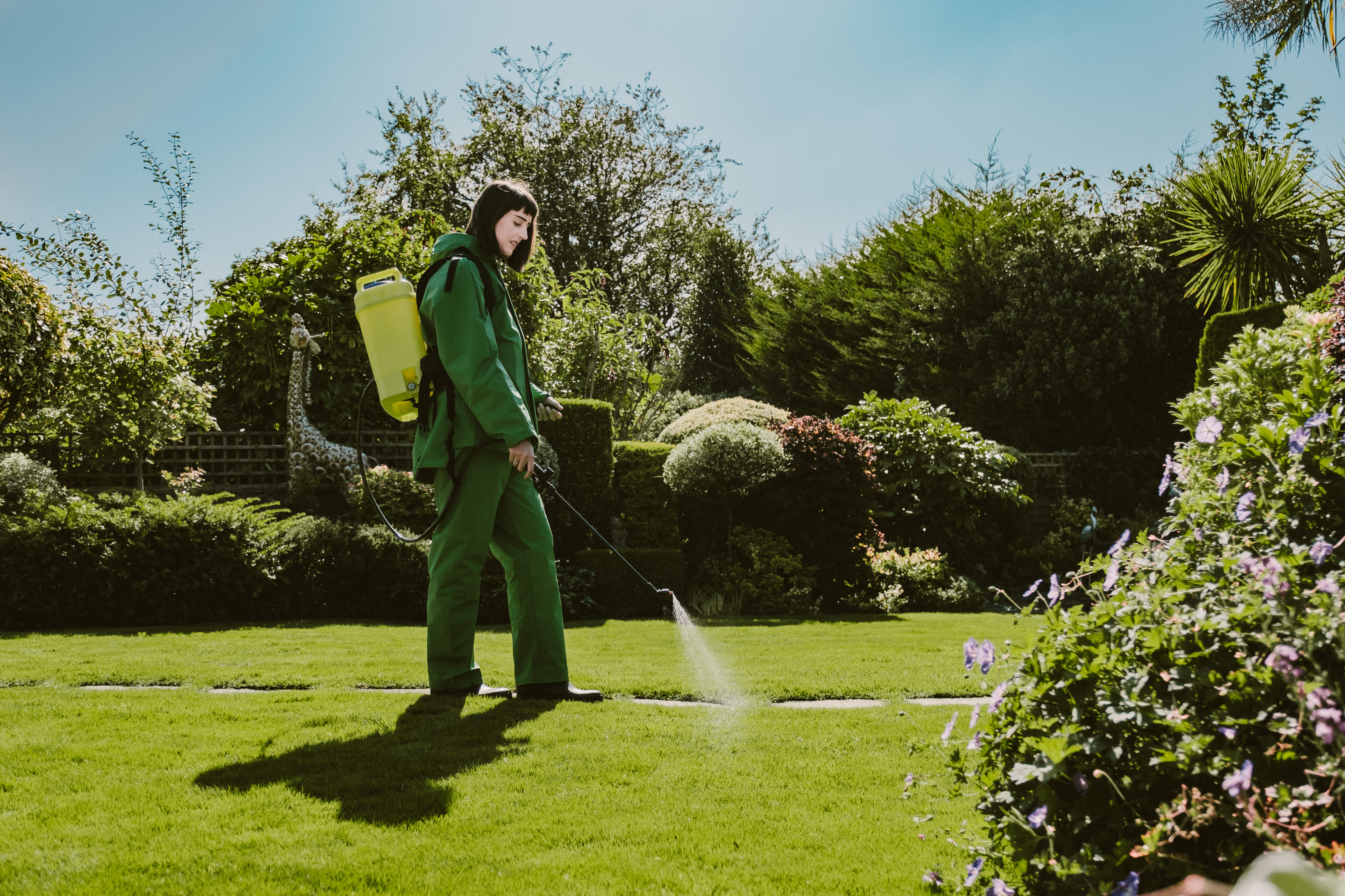 Lawn Operatives  — illustrative image for the following content