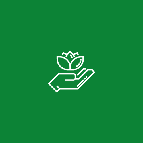 Carry out approx. 2.5 million lawn treatments a year — illustrative image for the following content