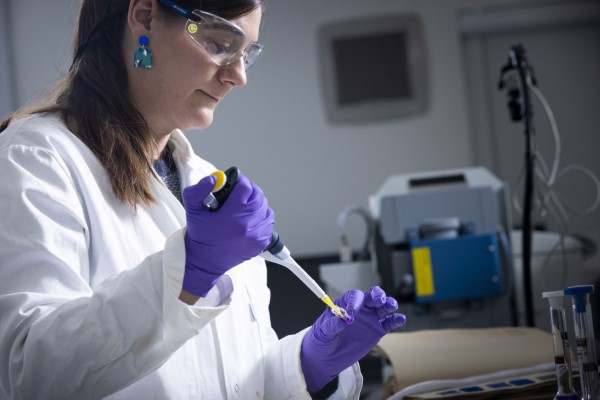 Collections — illustrative image for the following content