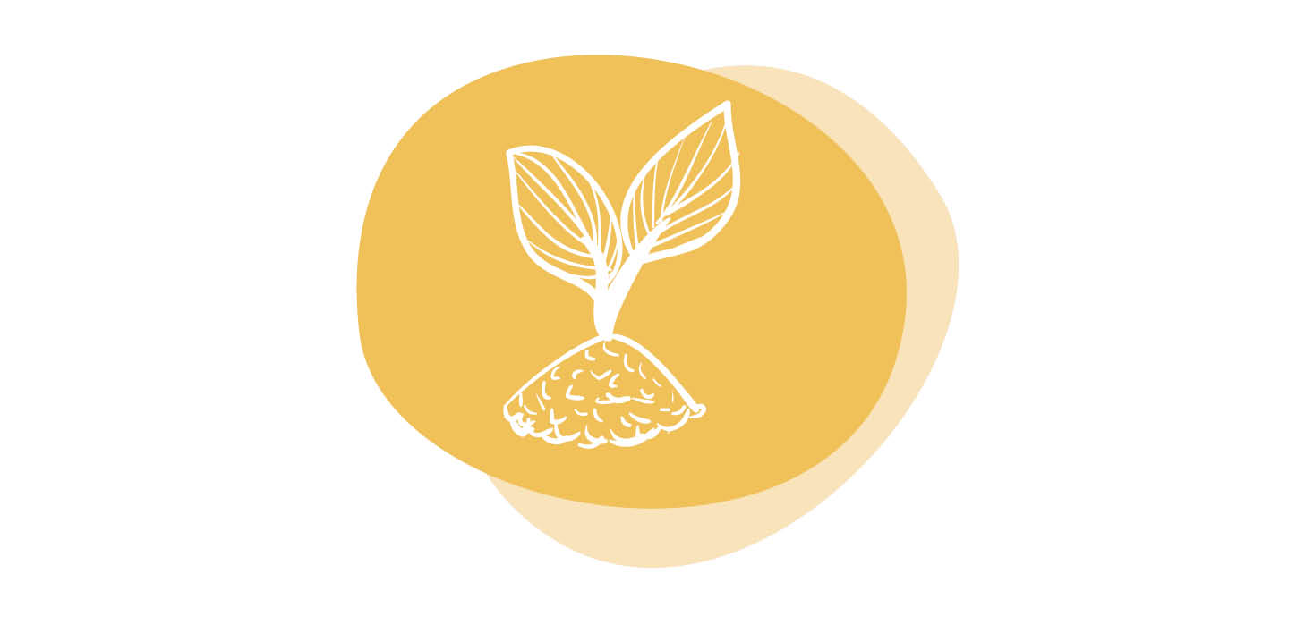 Always Learning — illustrative image for the following content