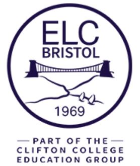 decorative image to divide sections on the page