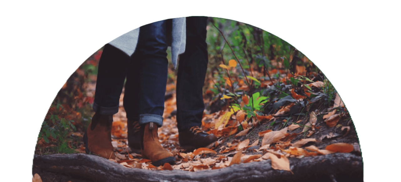 Sykes Cottages — illustrative image for the following content