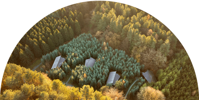 Forest Holidays — illustrative image for the following content