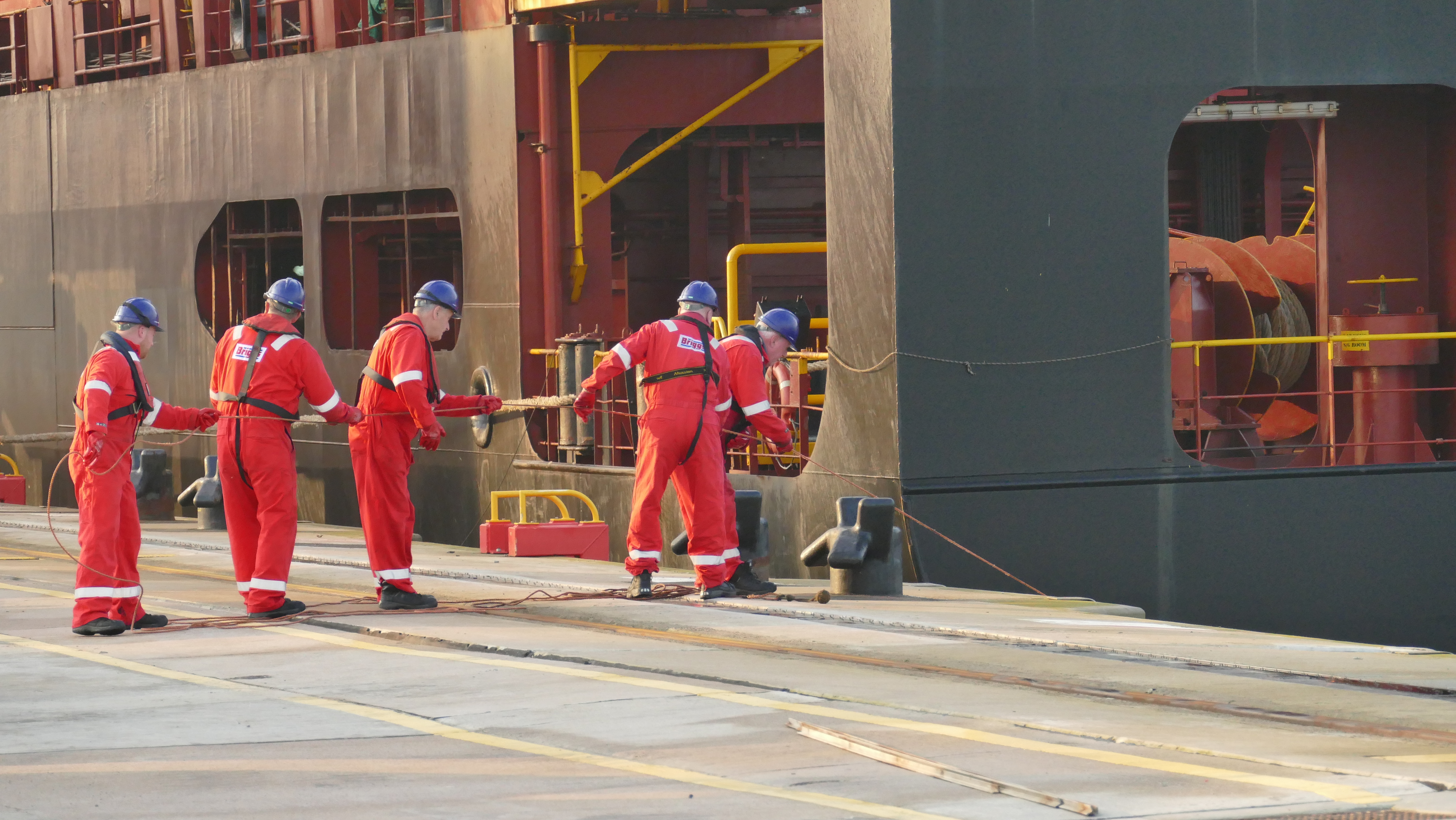 Training Opportunities — illustrative image for the following content