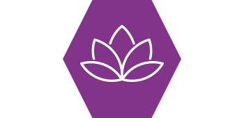 Wellbeing Programme — illustrative image for the following content