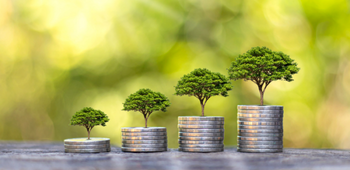 Wessex Community Bank — illustrative image for the following content