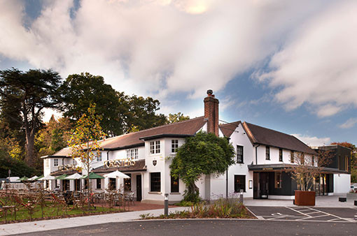 Royal Foresters, Ascot — illustrative image for the following content