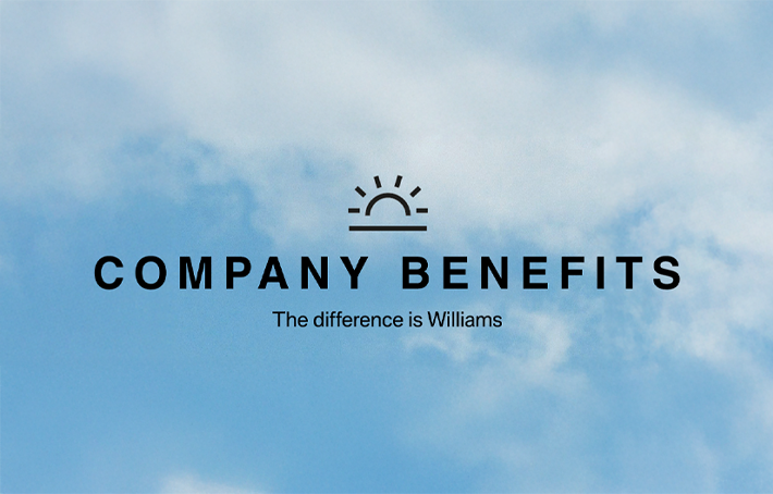 Company Benefits — illustrative image for the following content