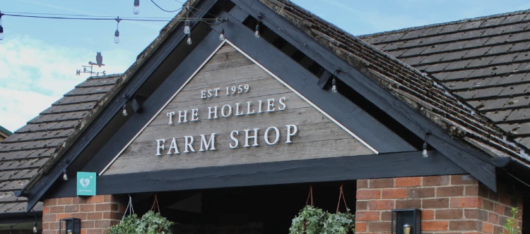 Environment — illustrative image for the following content