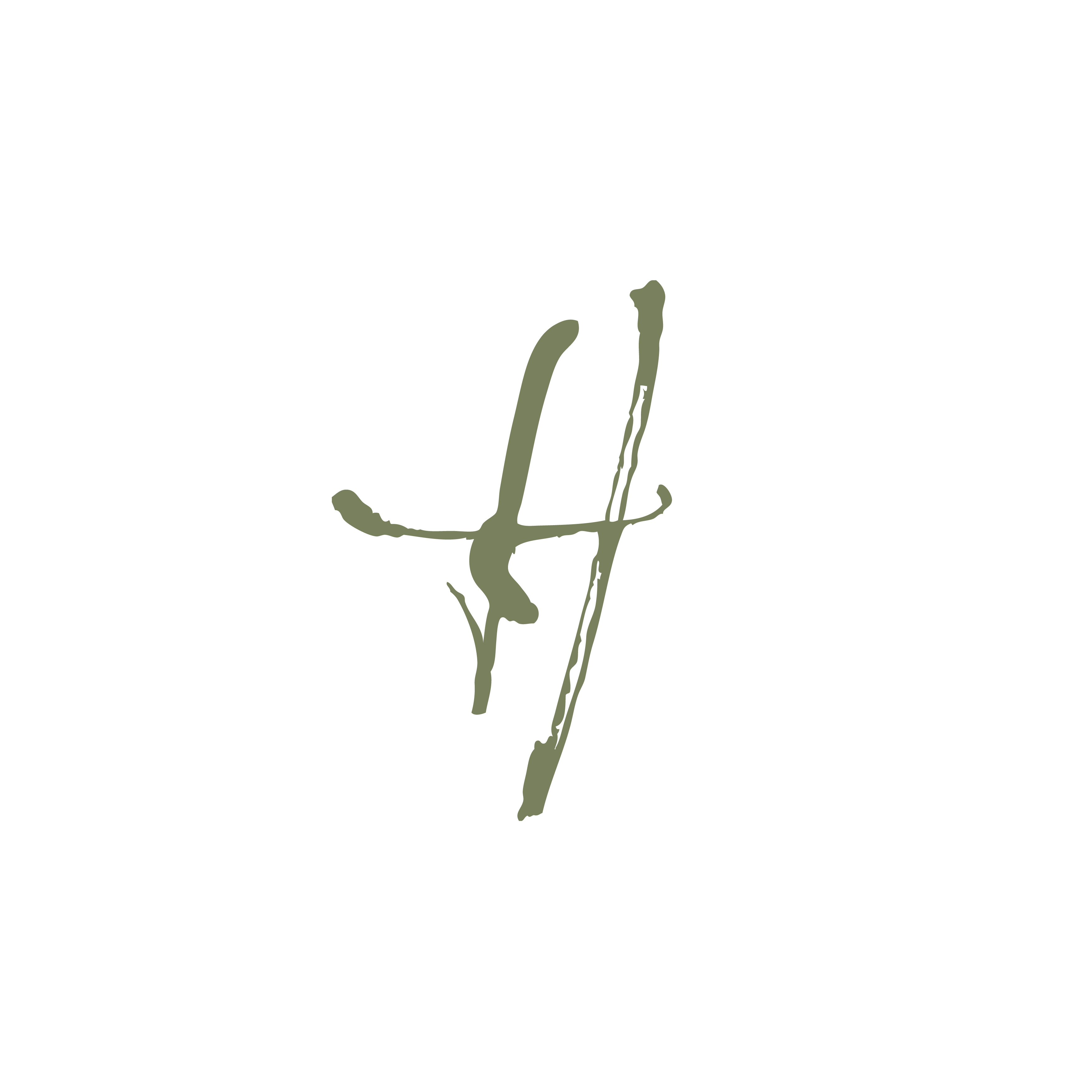 decorative image to divide sections on the page