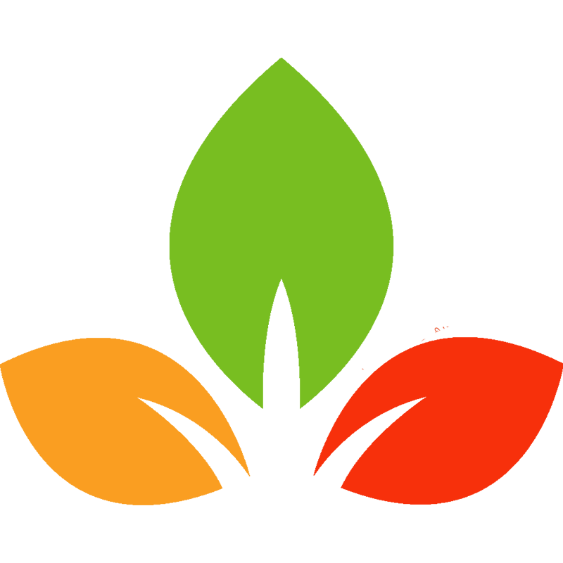 decorative image to divide sections on the page